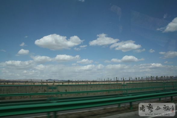 IMG_9177.jpg