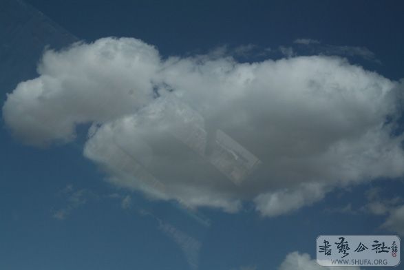 IMG_9170.jpg