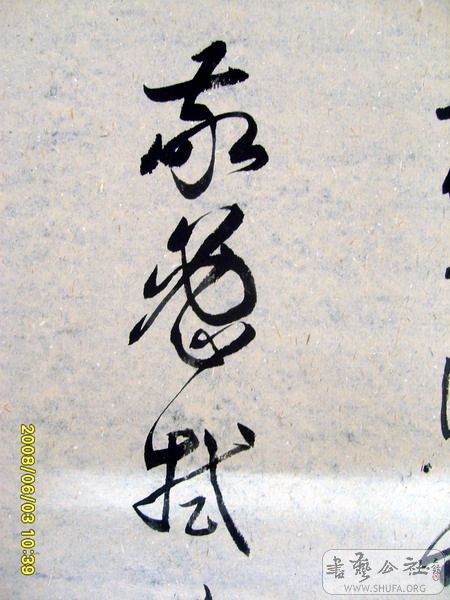 S6007631.jpg
