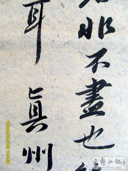 S6007636.jpg