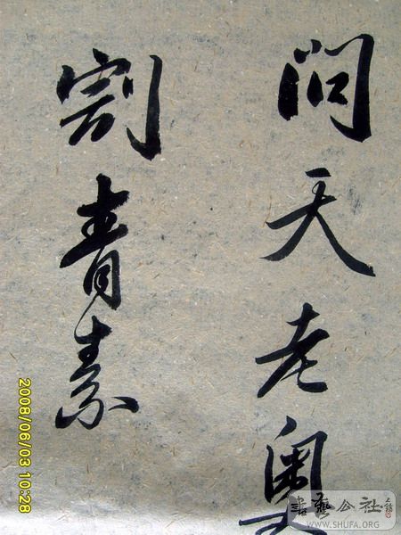 S6007626.jpg