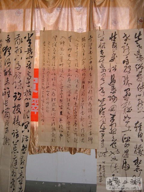 DSCF6779.jpg