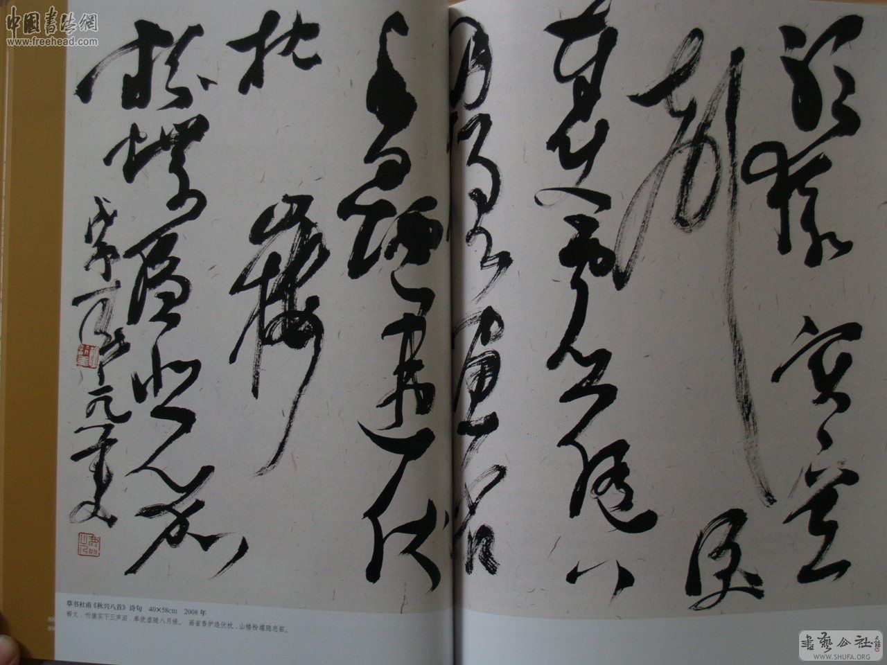 20080602_4a248976435aa63bcc02djaAbeHxpSuz.jpg
