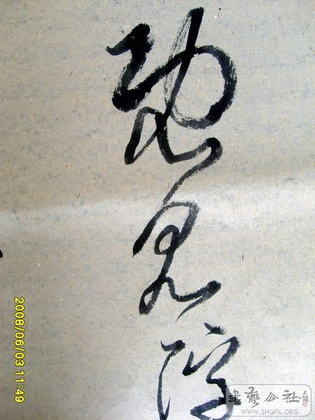 S6007653.jpg