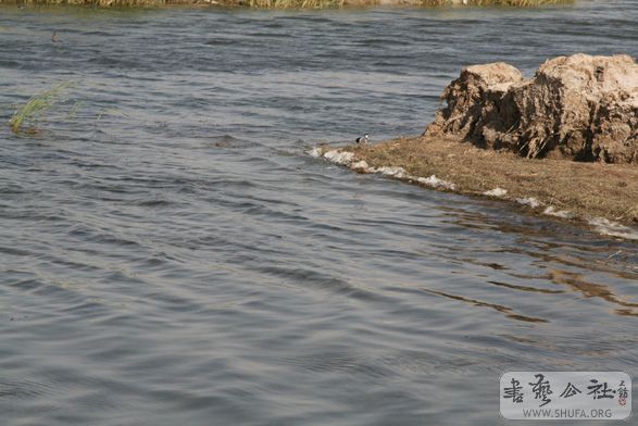 IMG_8952.jpg