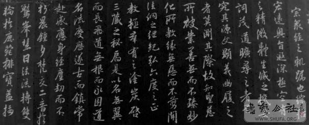 DSC03336.JPG