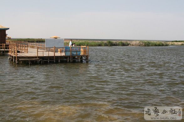 IMG_8911.jpg