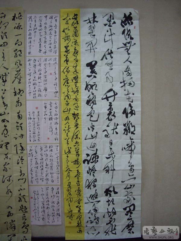 IMGP4912.jpg