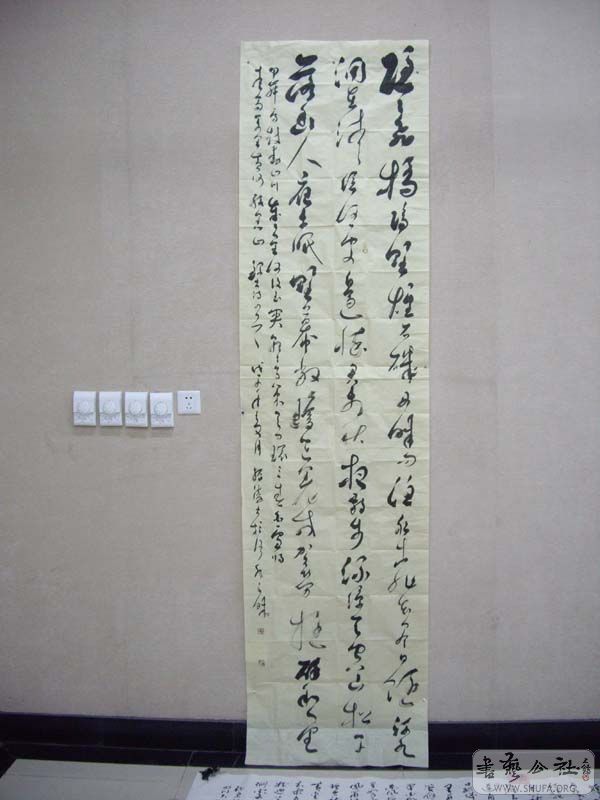 IMGP4913.jpg
