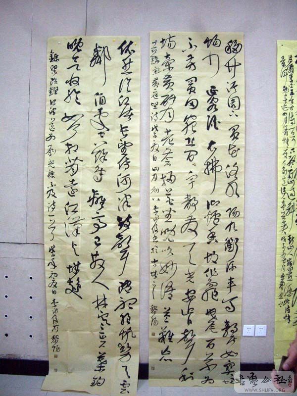 IMGP4917.jpg