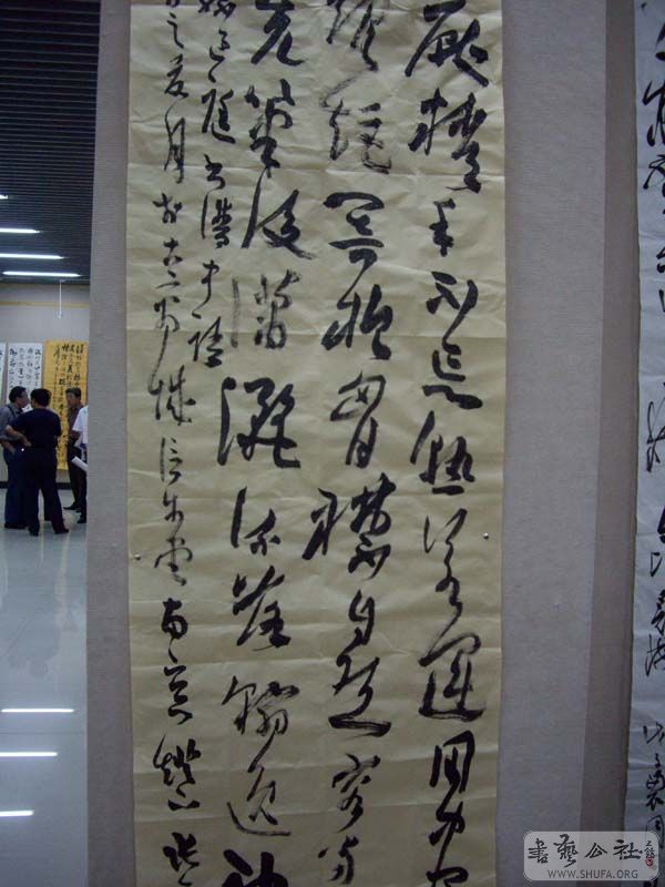 IMGP4955.jpg