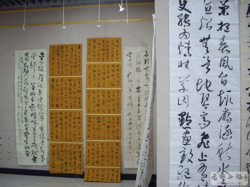 IMGP4904.jpg