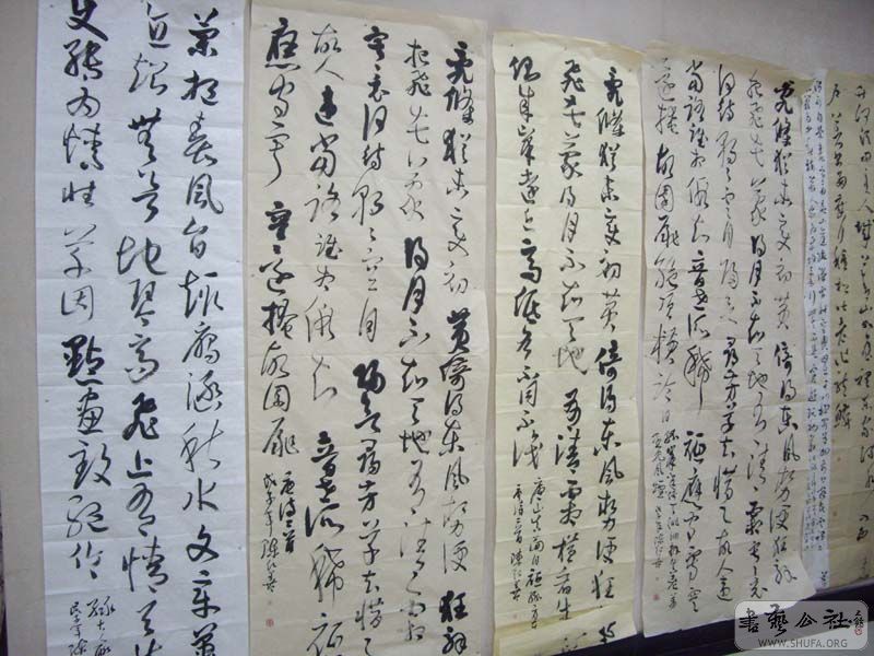 IMGP4905.jpg