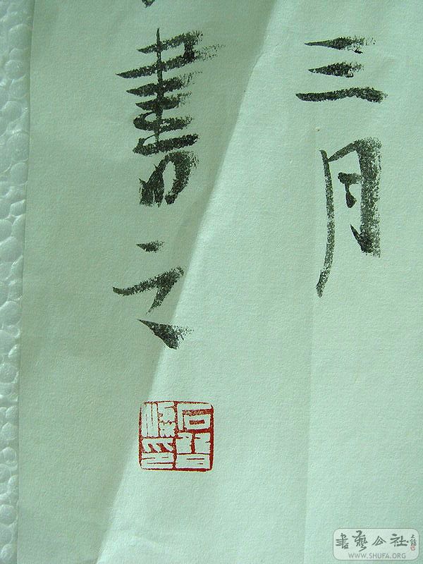 DSC06528.jpg