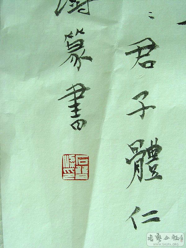 DSC06523.jpg