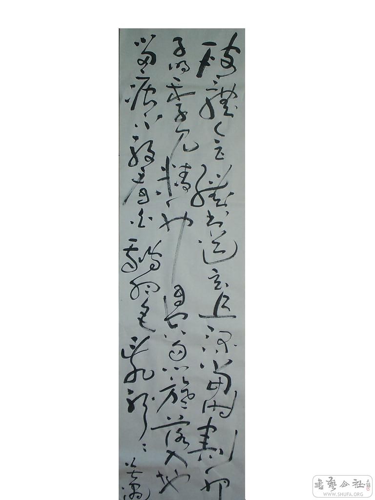 S3010817.JPG