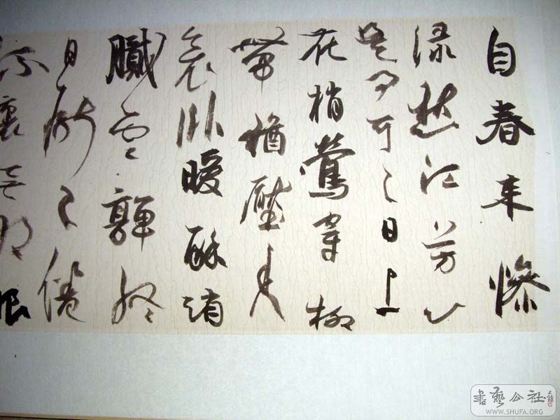 65J.jpg