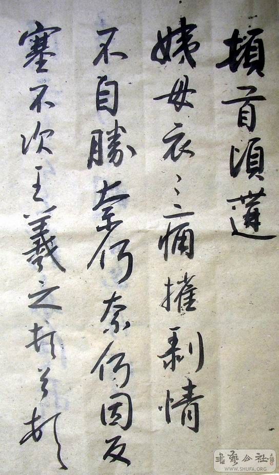 DSCN5246.JPG