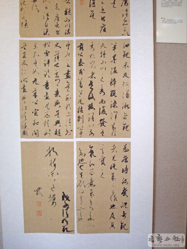 191.jpg