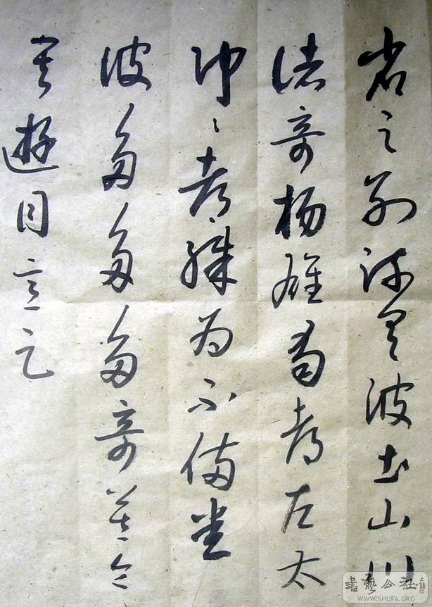 DSCN5248.JPG