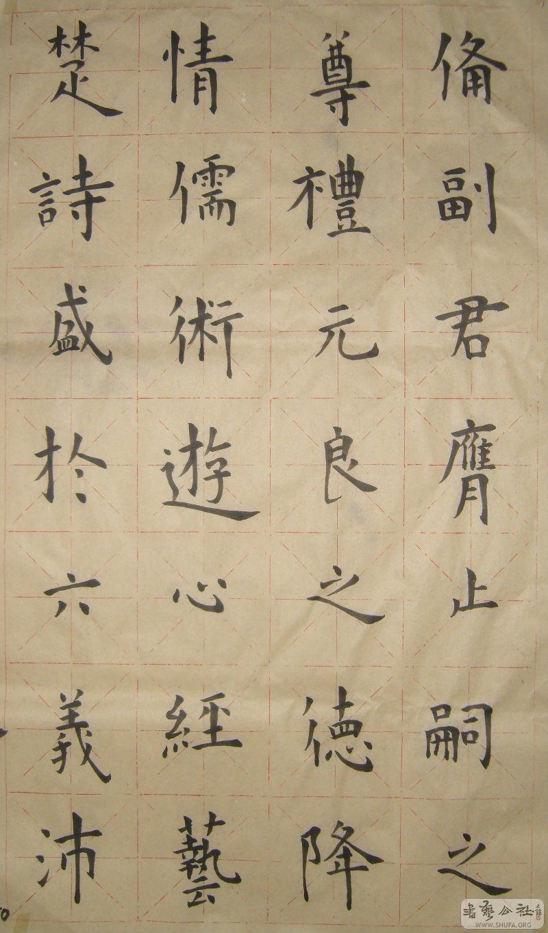 S50.JPG