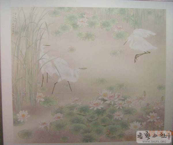 DSCN3160.JPG