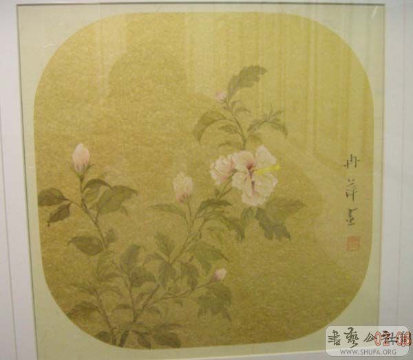 DSCN3172.JPG