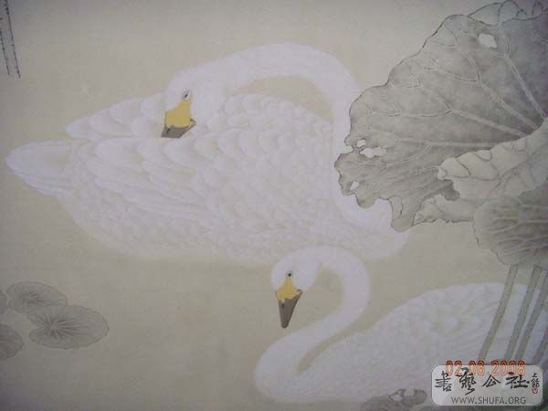 DSCN3168.JPG