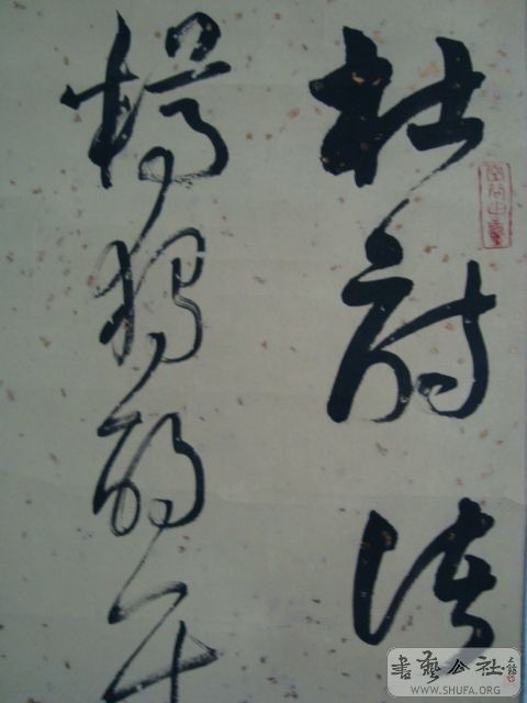 DSC00597.JPG