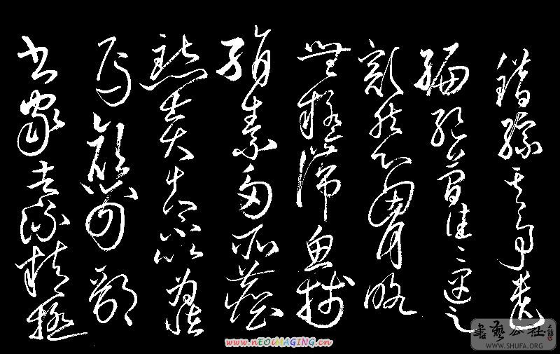100_8335.jpg