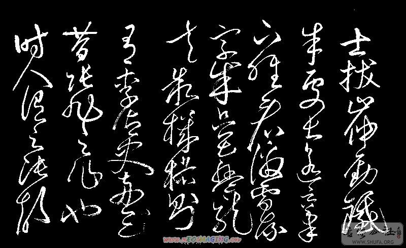 100_8347.jpg