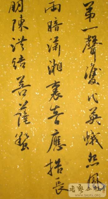 DSC03504.JPG