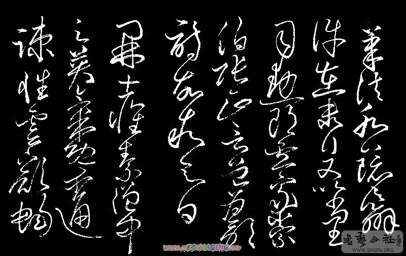 100_8336.jpg