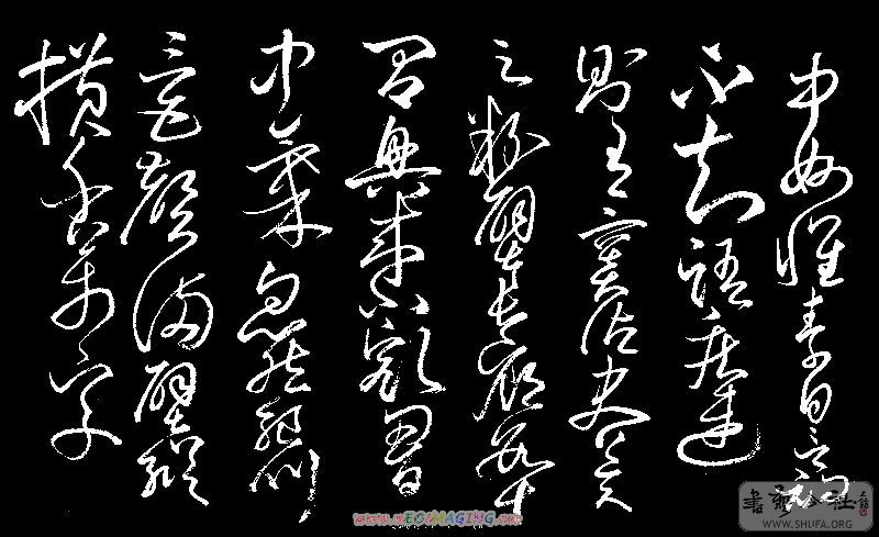 100_8351.jpg