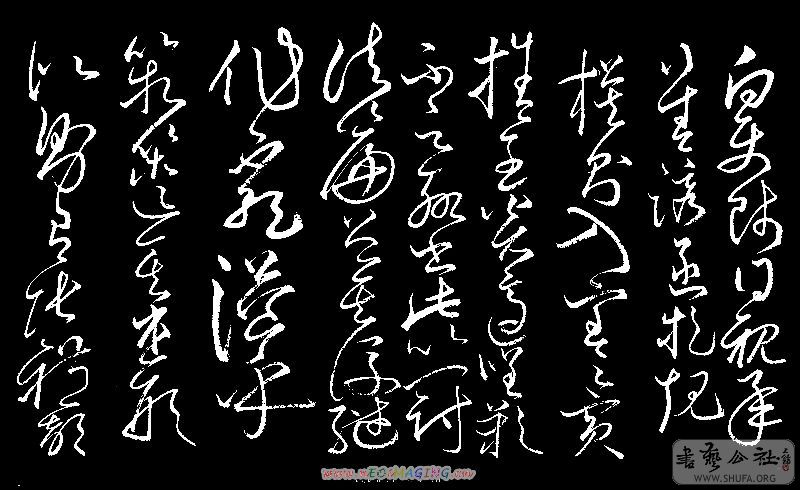 100_8345.jpg