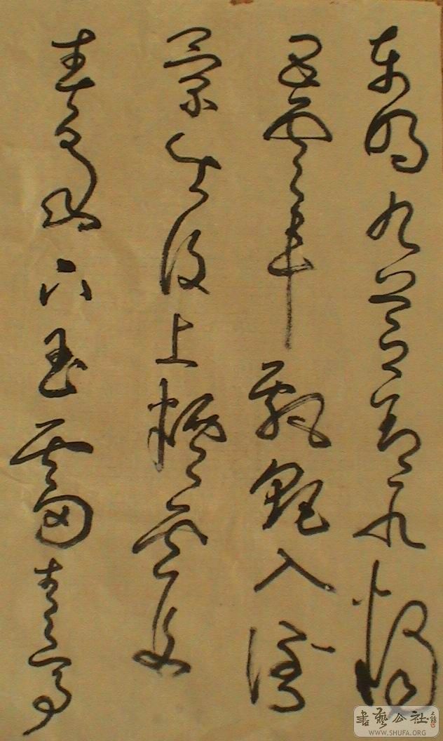 DSC06883.JPG