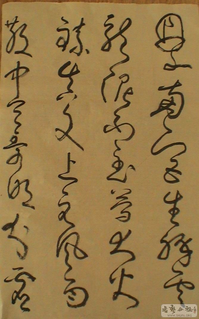 DSC06885.JPG