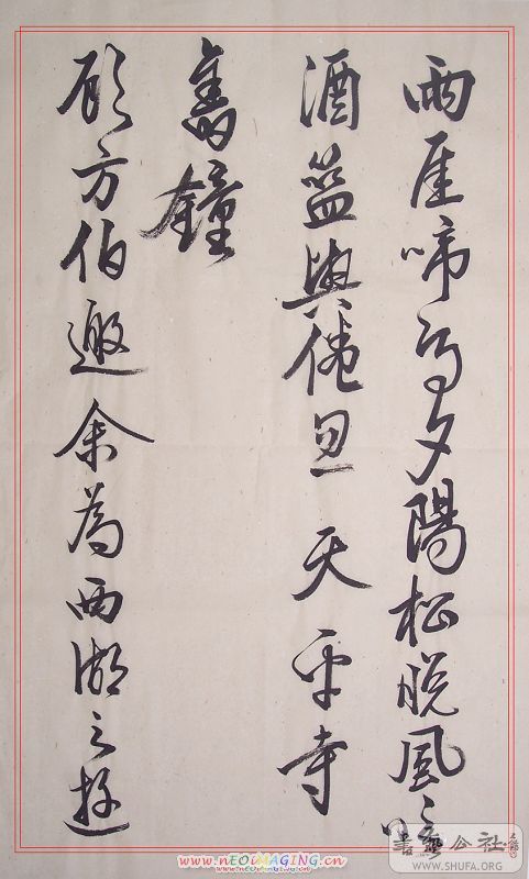 100_9480.jpg