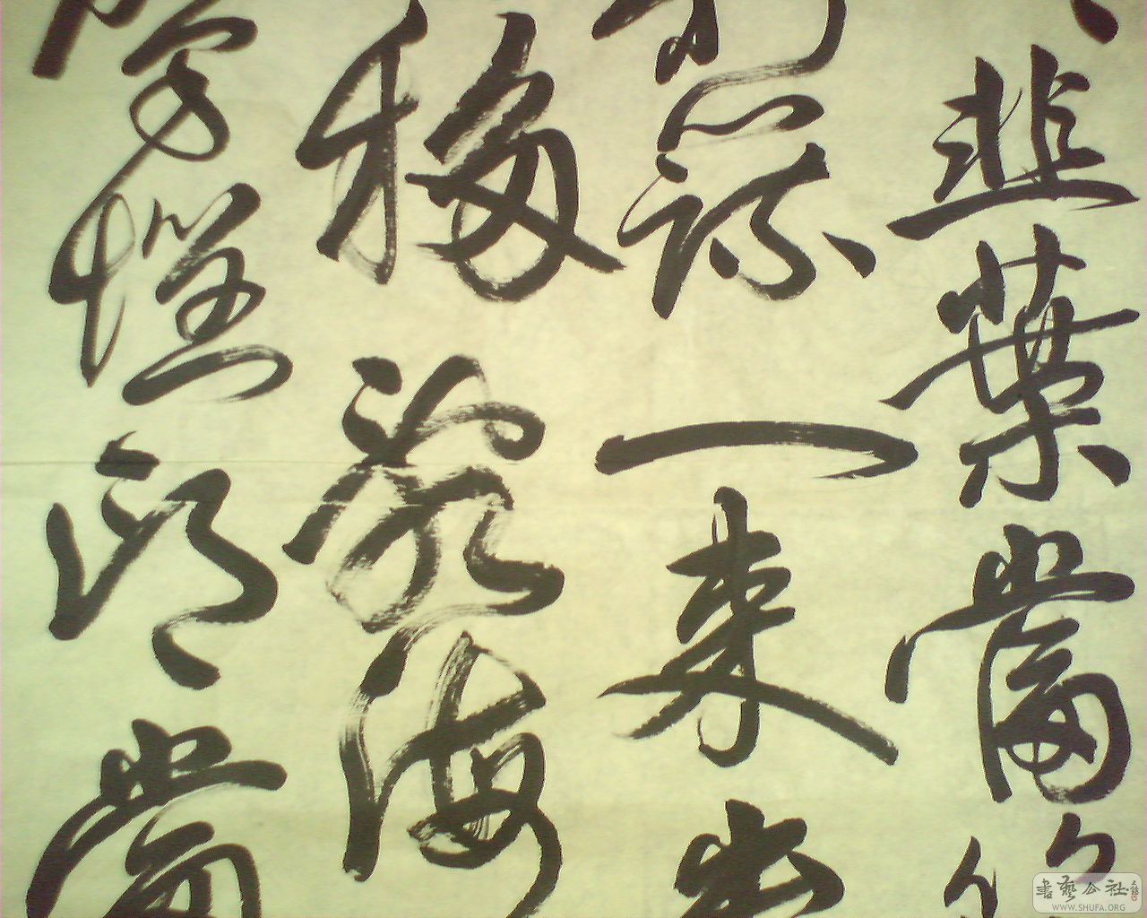 M20080619007.jpg
