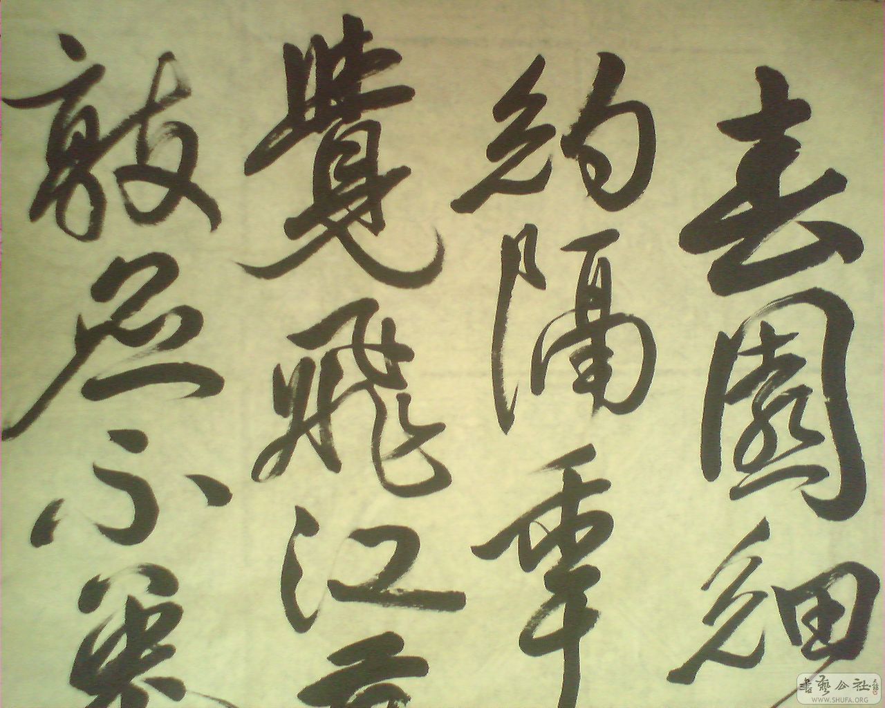M20080619005.jpg
