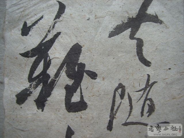 Ƭ 736.jpg