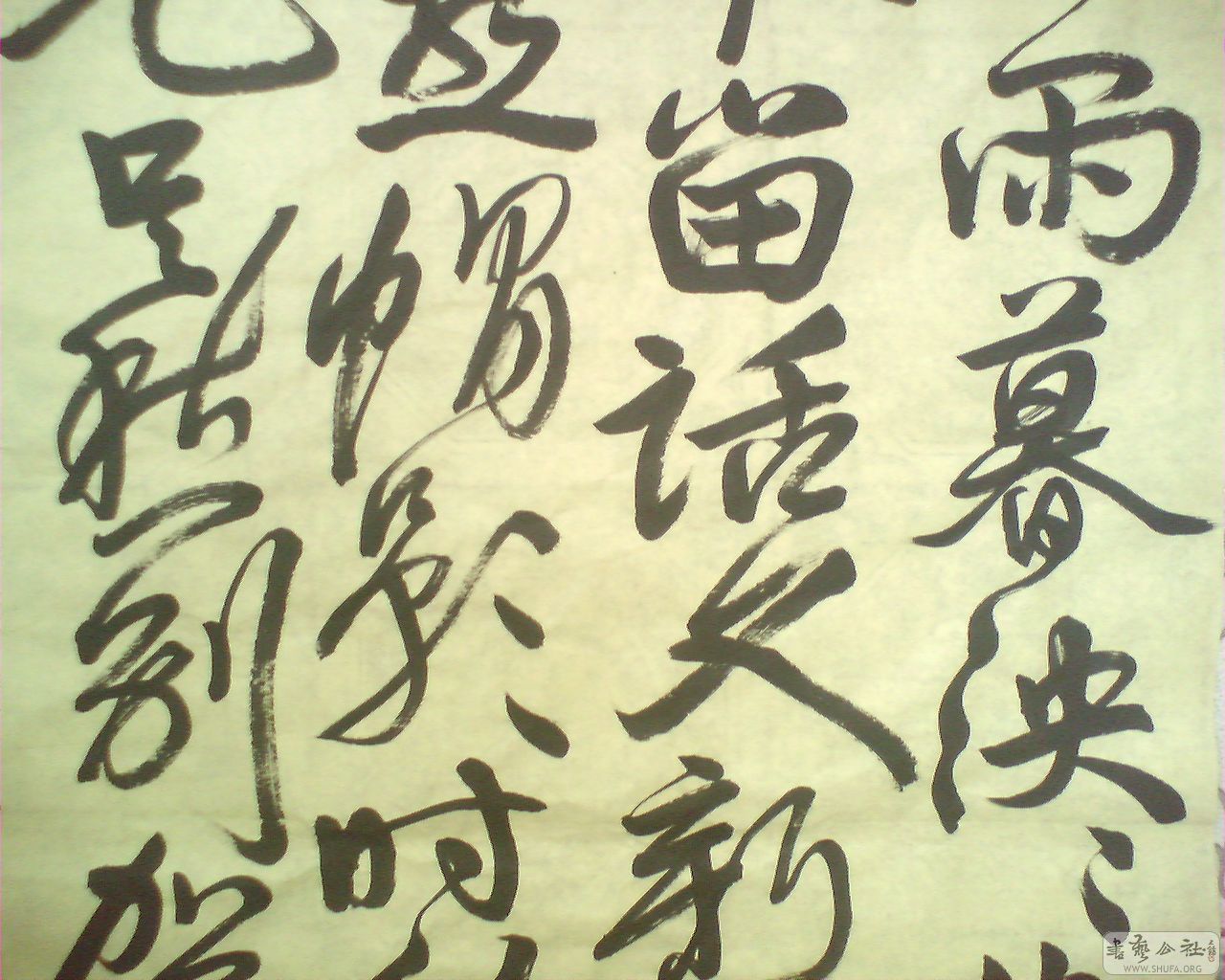 M20080619006.jpg