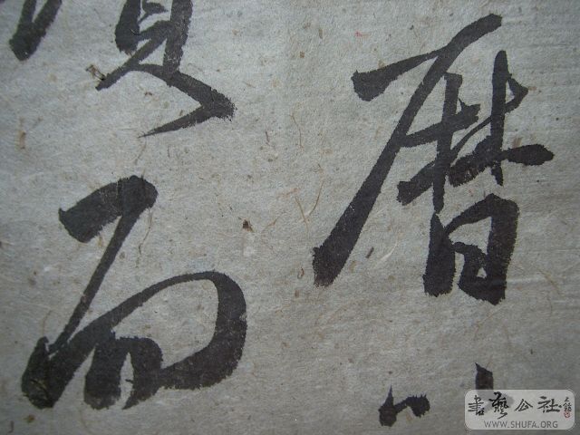 Ƭ 731.jpg