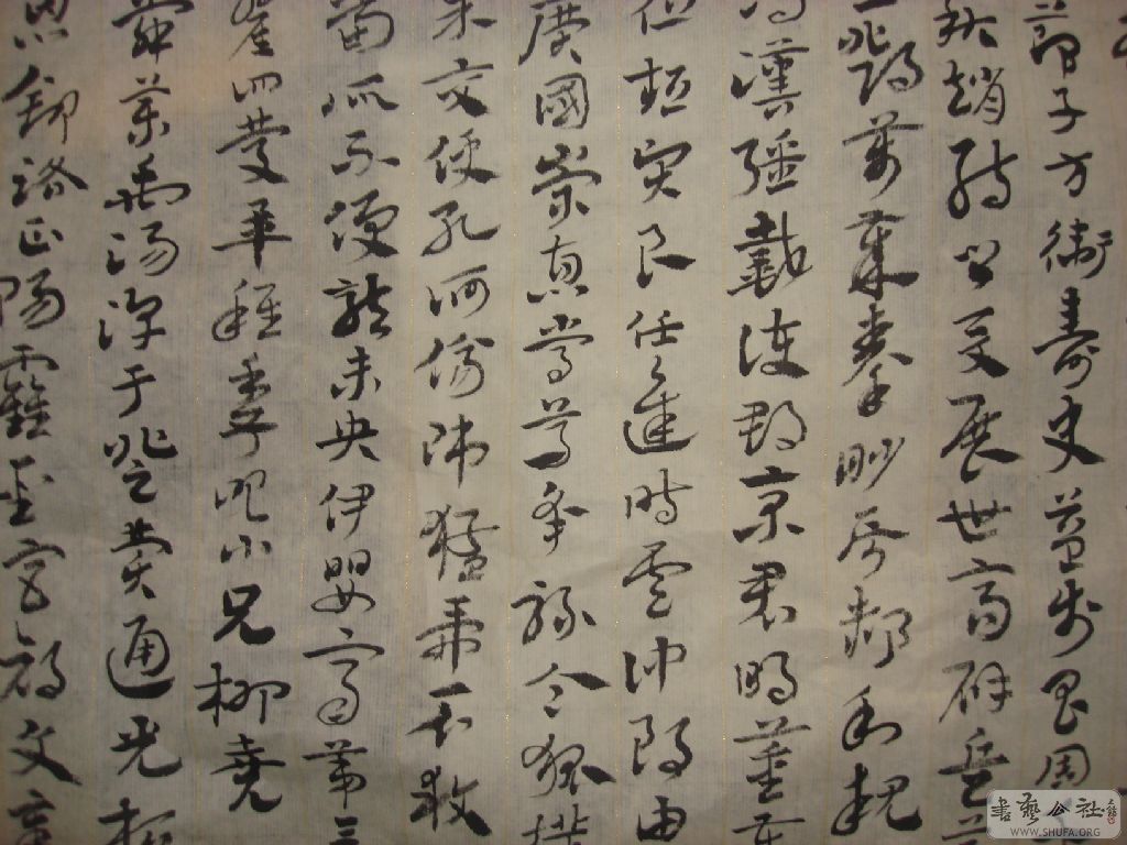 DSC01583.JPG