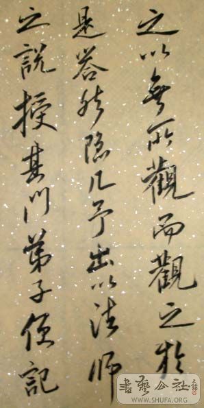 DSC03589.JPG