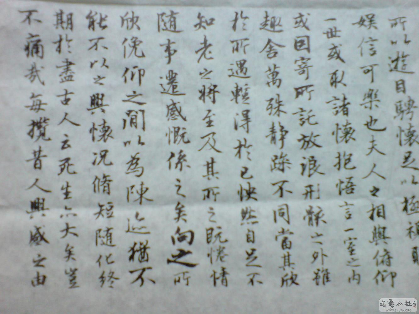 DSC00561.JPG