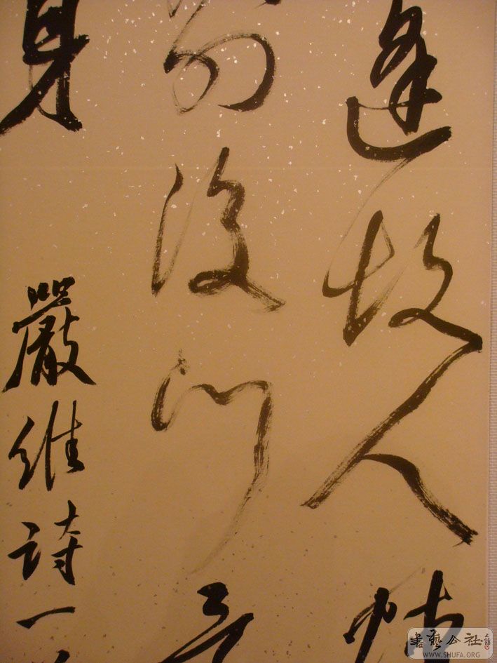 DSC01264.jpg