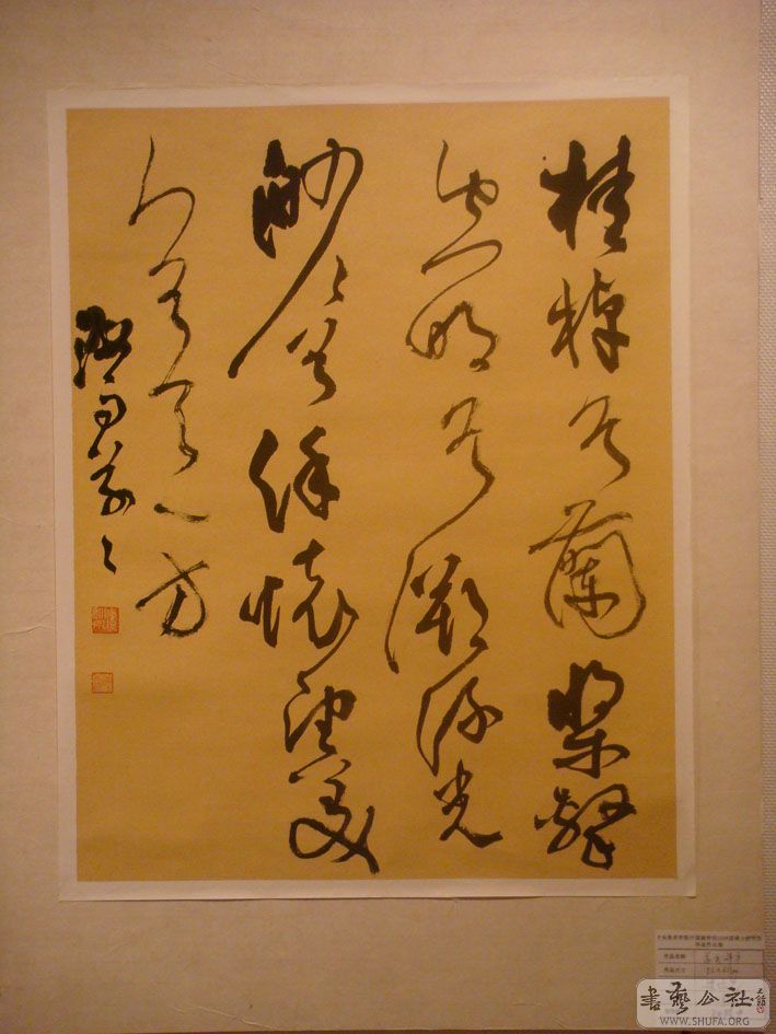 DSC01352.jpg