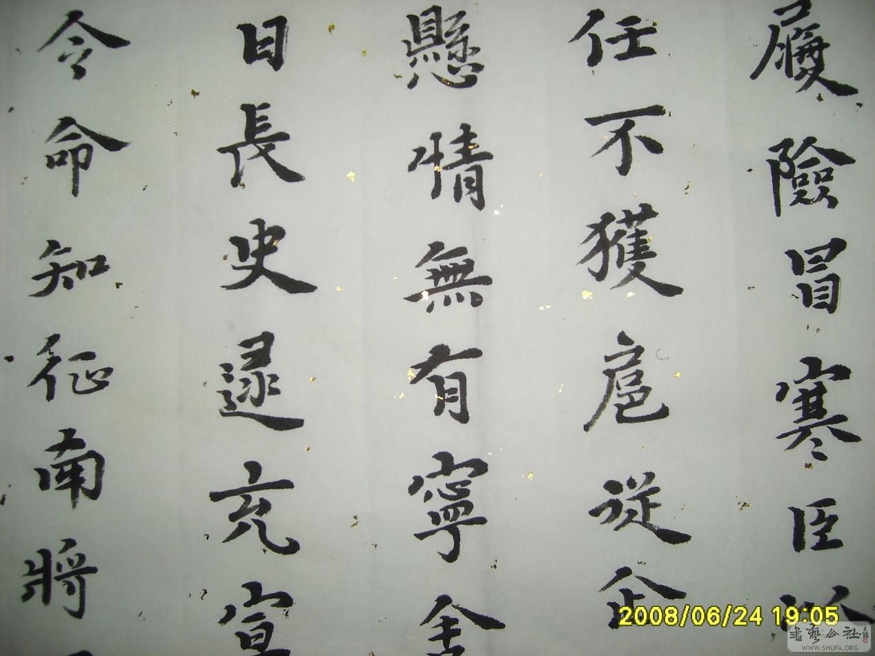 S6001924.JPG