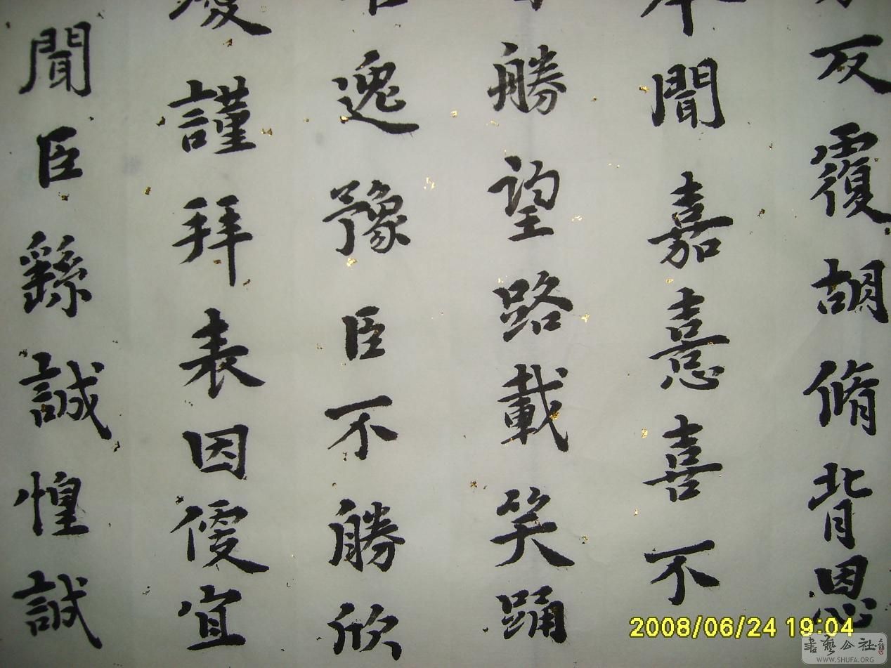 S6001922.JPG